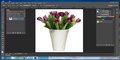 photoshop cc tips
