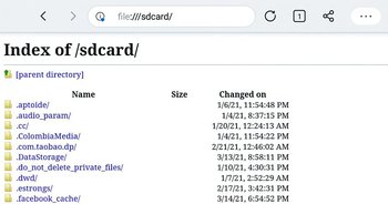 file sdcard open