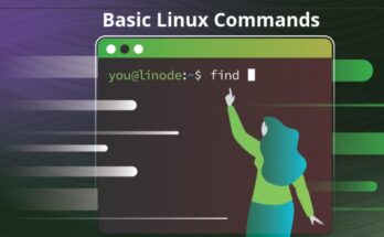 top basic linux commands